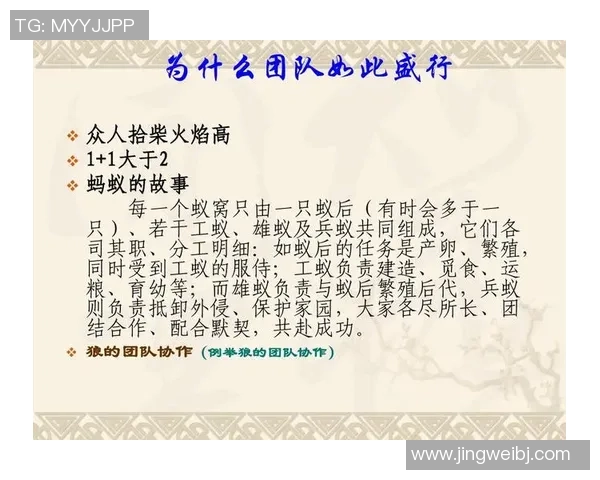 深圳排球队的默契配合揭秘：排球背后的团队精神与战术分析